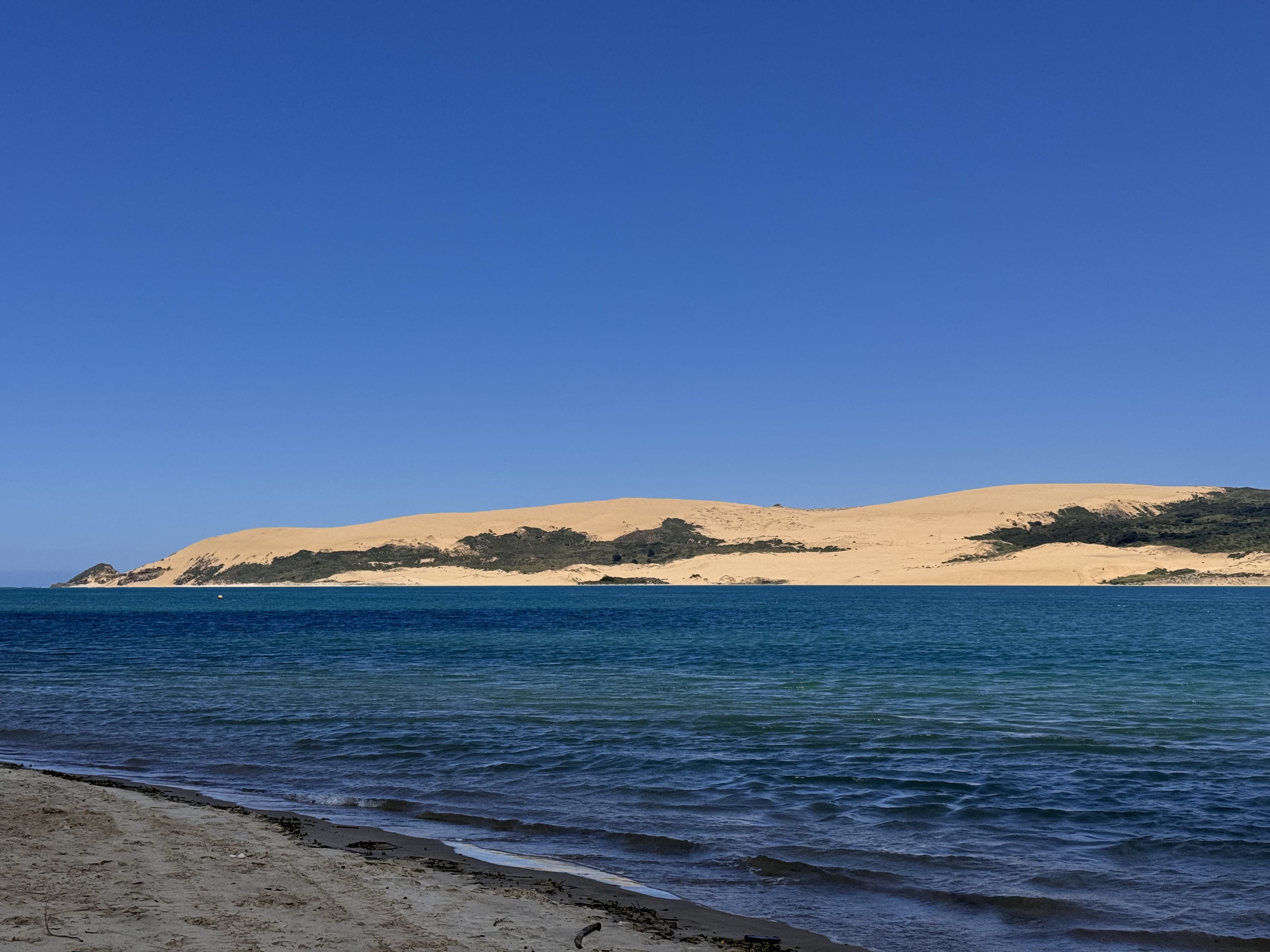 Hokianga harbour looking across to the sand dunes — the land that breathes through the films of Rangi Point Pictures